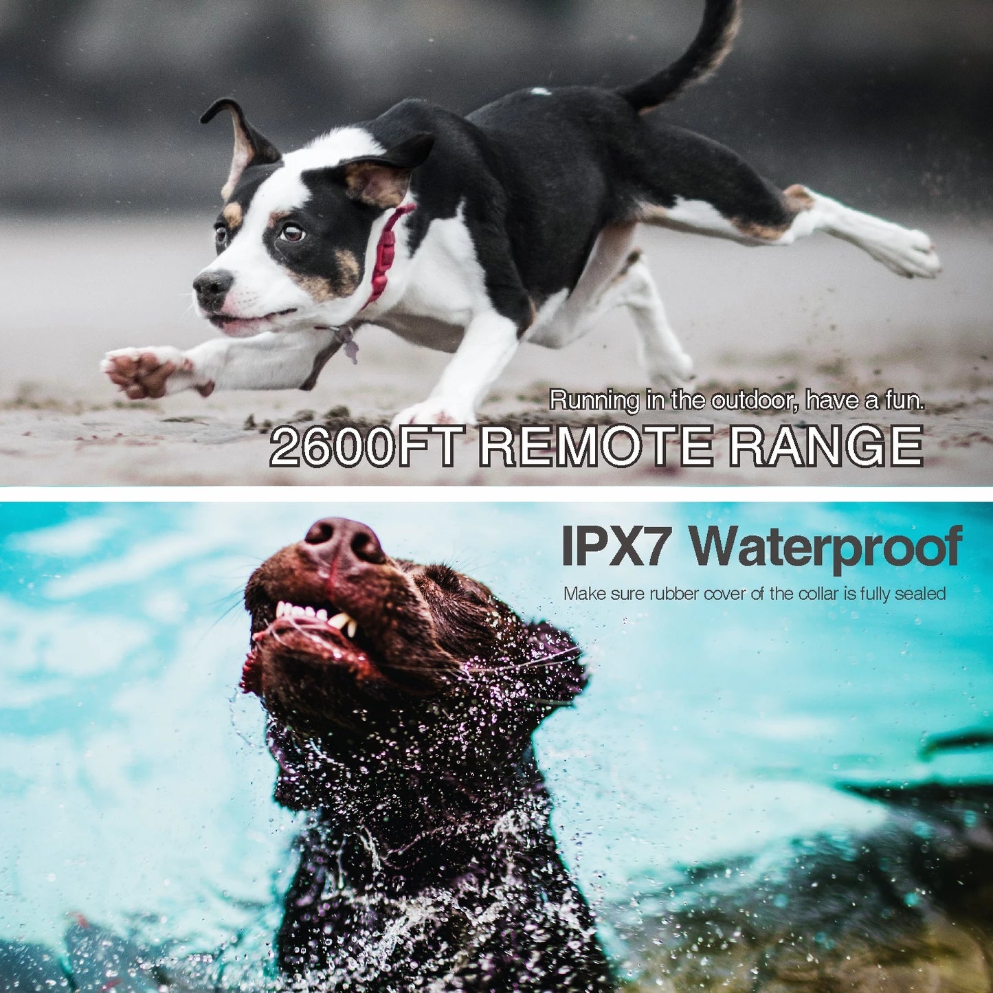 Replacement 2-in-1 Auto Bark Collar for DB600 Dog Training & Bark Collar