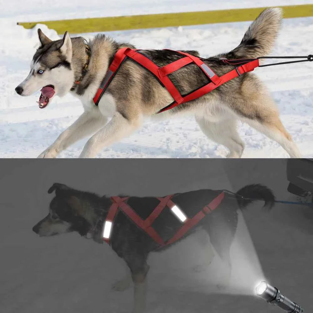 Reflective and Waterproof Dog Sledding Harness for Large Breeds