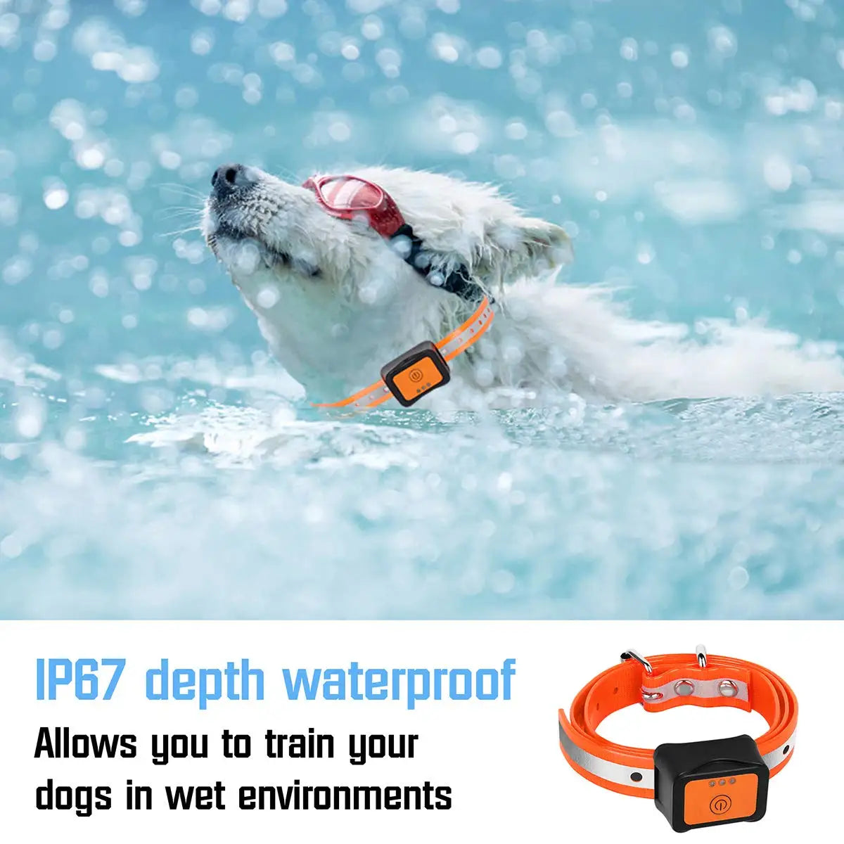 Rechargeable Dog Shock Collar with Remote