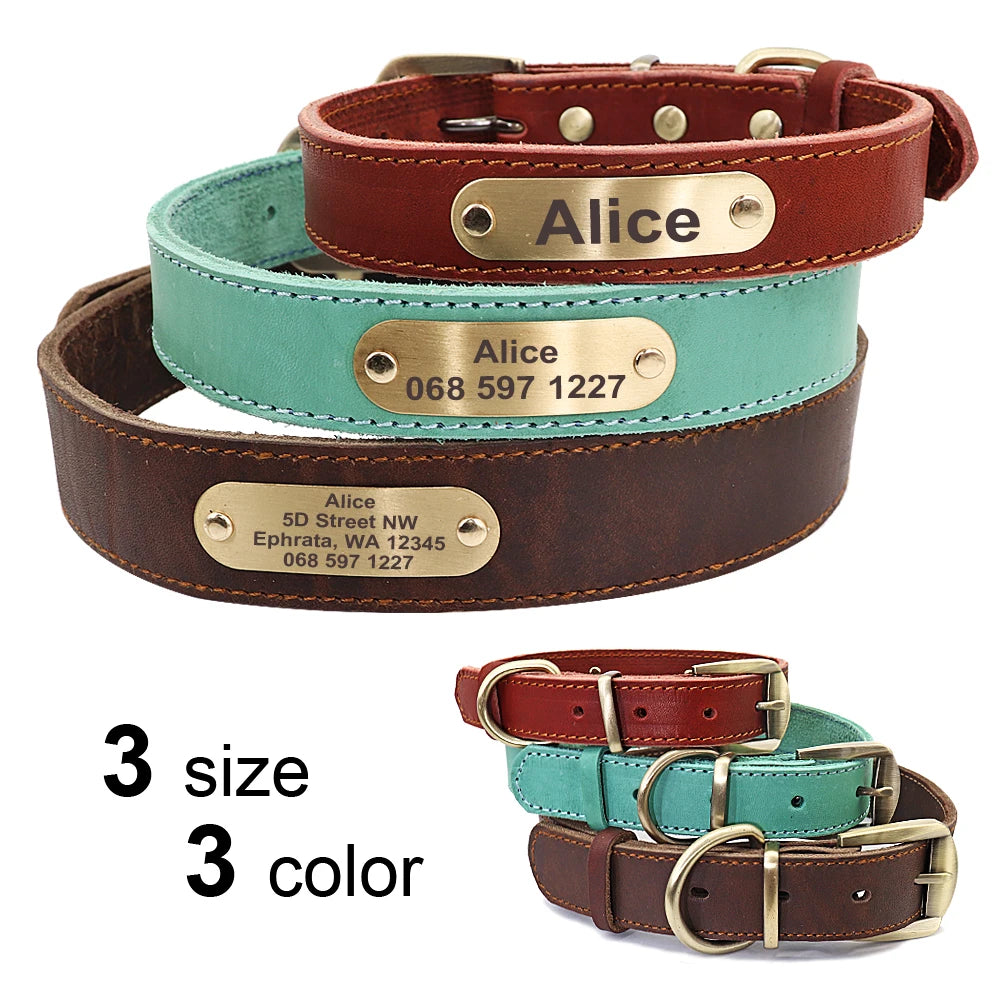 Custom Leather Dog Collar and Leash Set