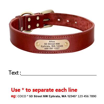 Custom Leather Dog Collar and Leash Set