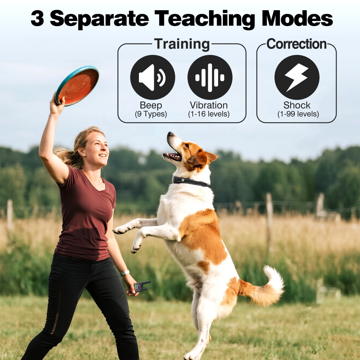 Rechargeable 2-in-1 Smart Dog Training Collar with Remote – 1000m Range