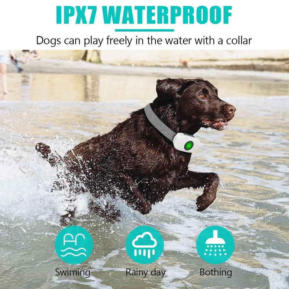 Rechargeable Dog Training Collar with Remote