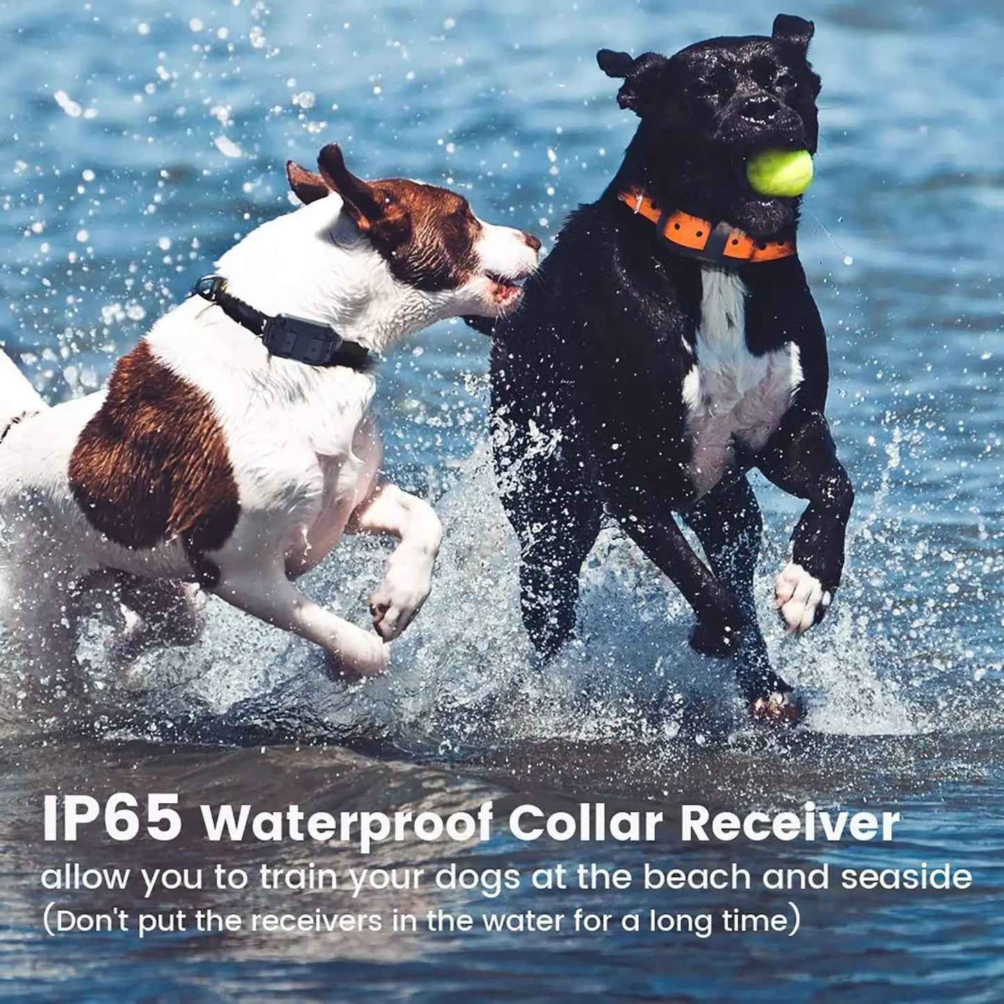 Waterproof Dog Training E-Collar