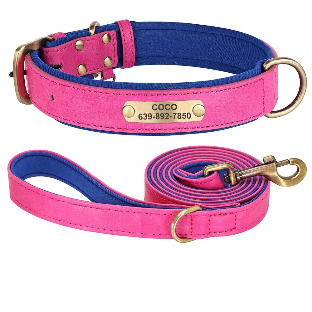 49149303193896|49149303226664|49149303259432|49149303292200|49149303324968