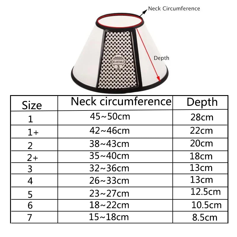 47717673992488|47717674025256|47717674058024|47717674090792|47717674123560|47717674156328|47717674189096|47717674221864|47717674254632