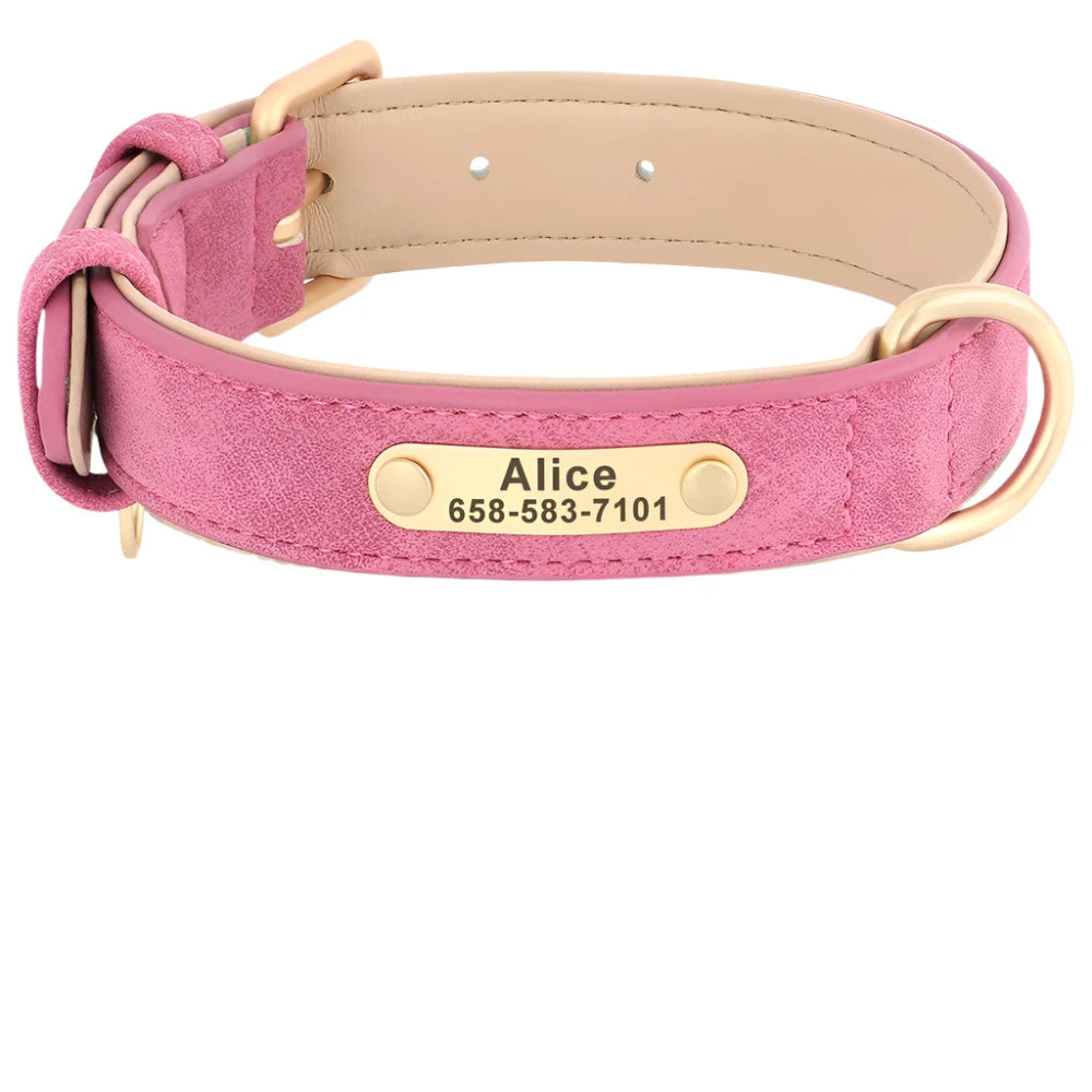 48588674040104|48588674138408|48588674171176|48588674203944|48588674236712