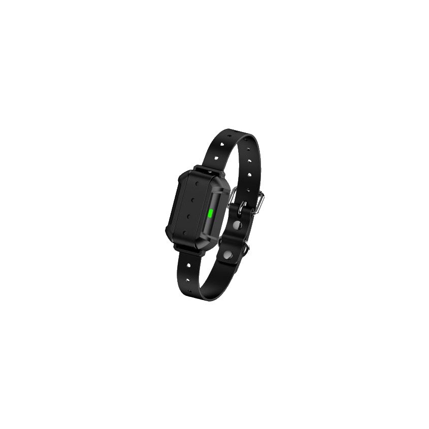 F900 Plus Wireless Dog Fence