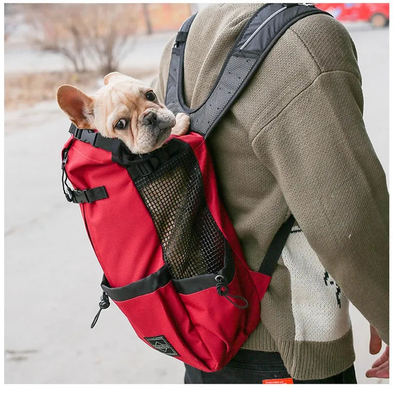 Large dog backpack carrier hotsell