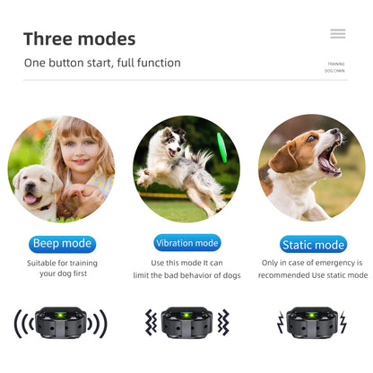 Electric Dog Training Collar for Up to 3 Dogs