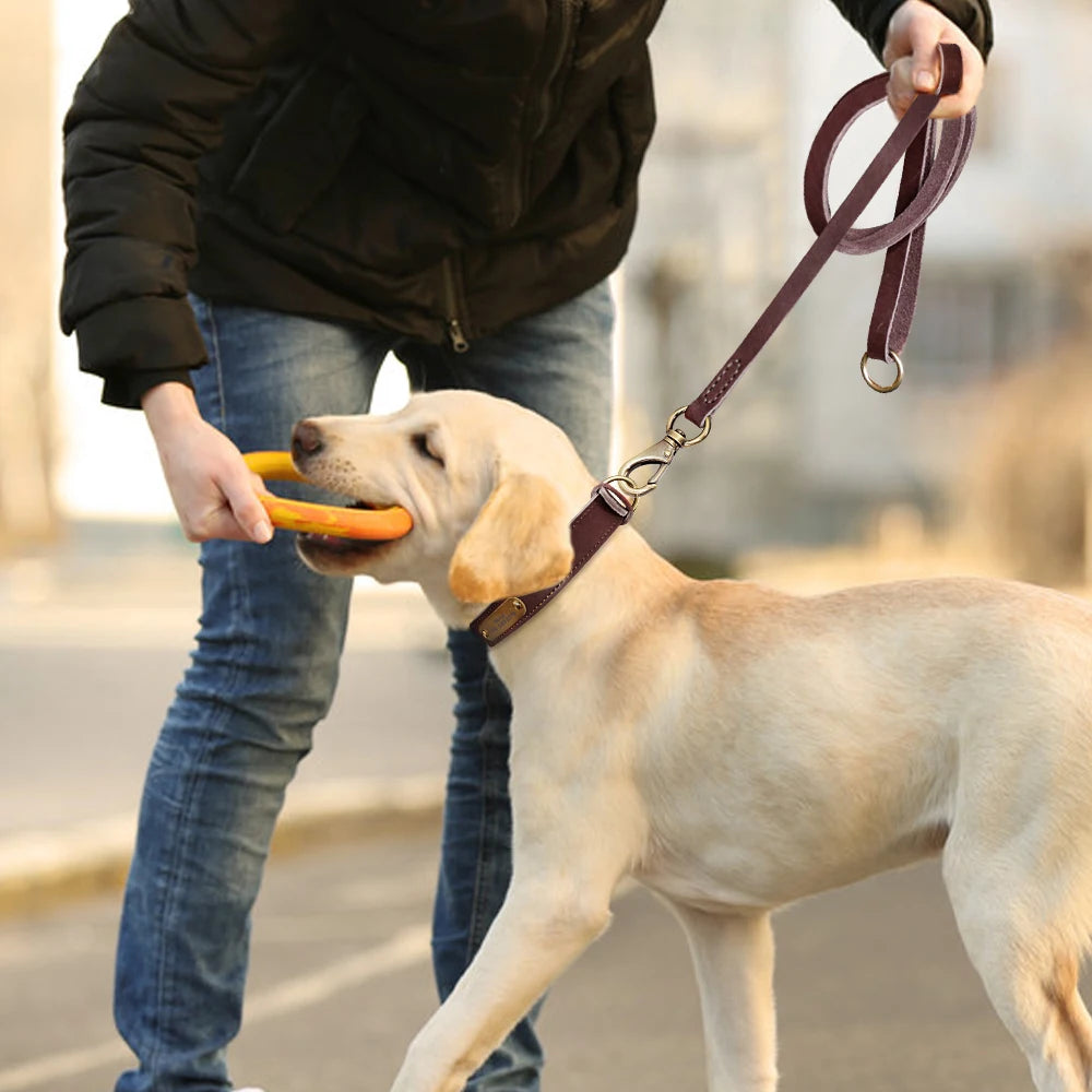 Custom Leather Dog Collar and Leash Set