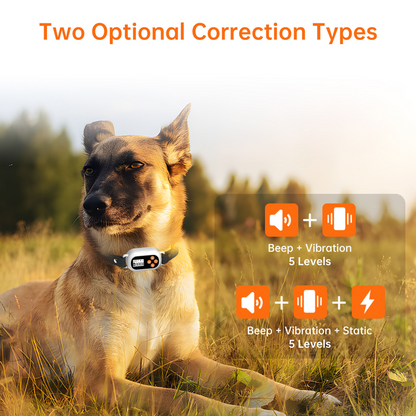 Astko F820 Wireless GPS Dog Fence