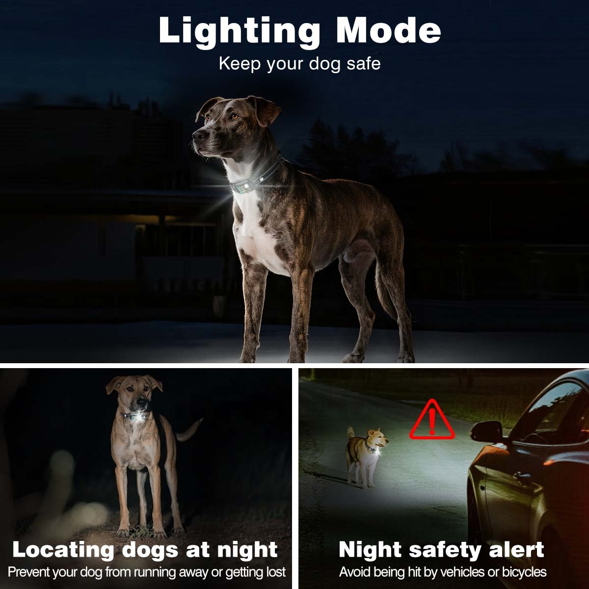 Rechargeable 2-in-1 Smart Dog Training Collar with Remote – 1000m Range