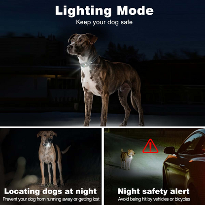 Rechargeable 2-in-1 Smart Dog Training Collar with Remote – 1000m Range