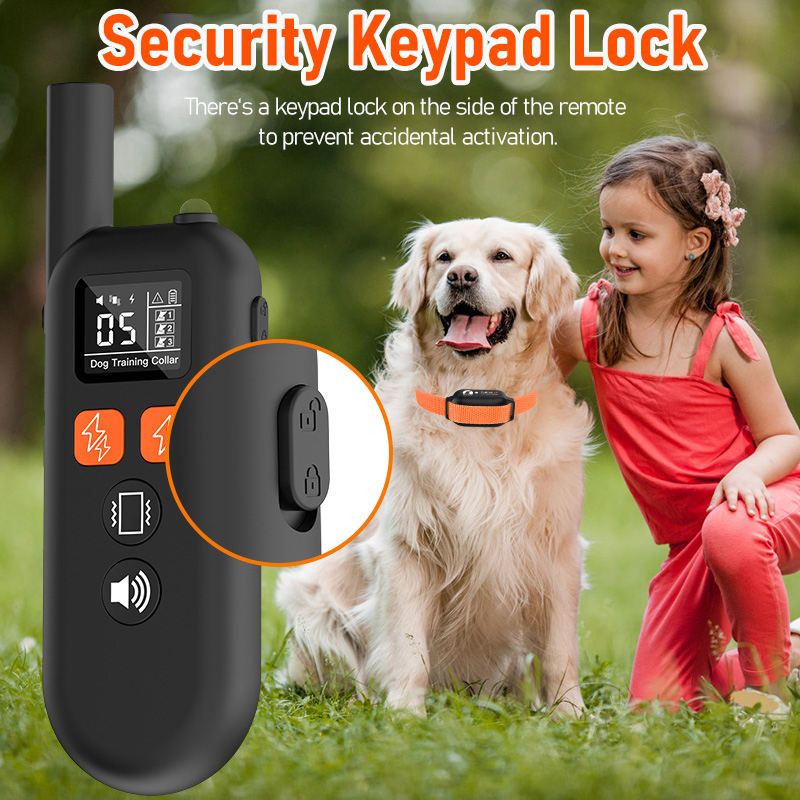 Professional Electric Dog Training Collar with Dual eShock and Night‑Safety Flashing Light (3300FT Range)