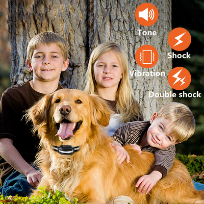 Professional Electric Dog Training Collar with Dual eShock and Night‑Safety Flashing Light (3300FT Range)
