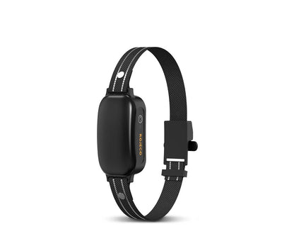 Electric Dog Training Collar 3300ft Remote Control