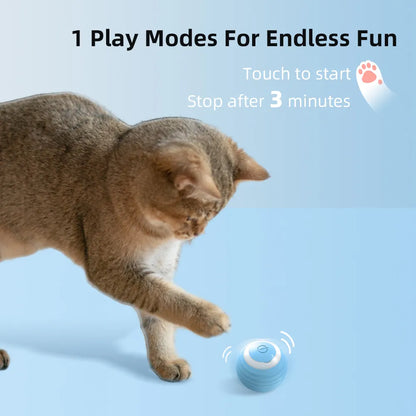 Interactive Smart Pet Toy
