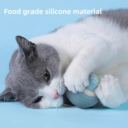 Interactive Smart Pet Toy
