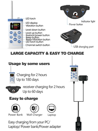 Cat Pet Training Device with Remote and Collar