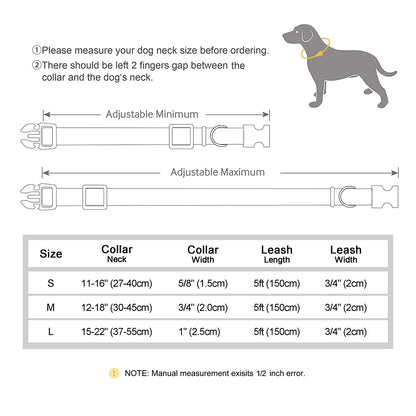 Personalised Nylon Custom Dog Puppy Collar Leash Set
