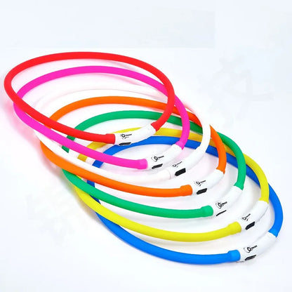 Silicone LED Dog Collar