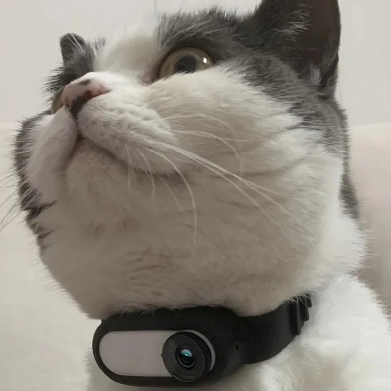 Cat Using Camera Pet Collar Camera with Video Recording for Cats and Dogs - Toska Pets
