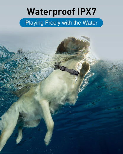 Premium Electric Dog Training Collar with Remote