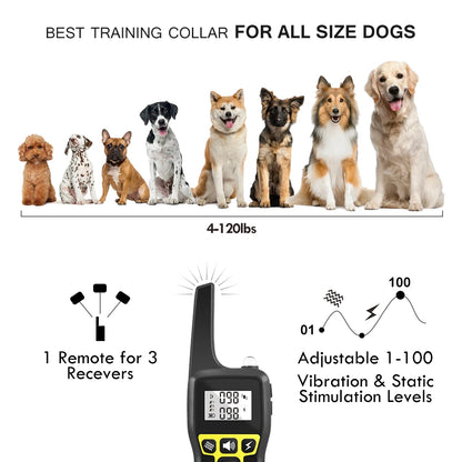 1000M Remote Dog Training Collar with Rechargeable Waterproof collar