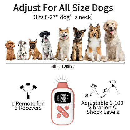 Dog Training Collar with Remote