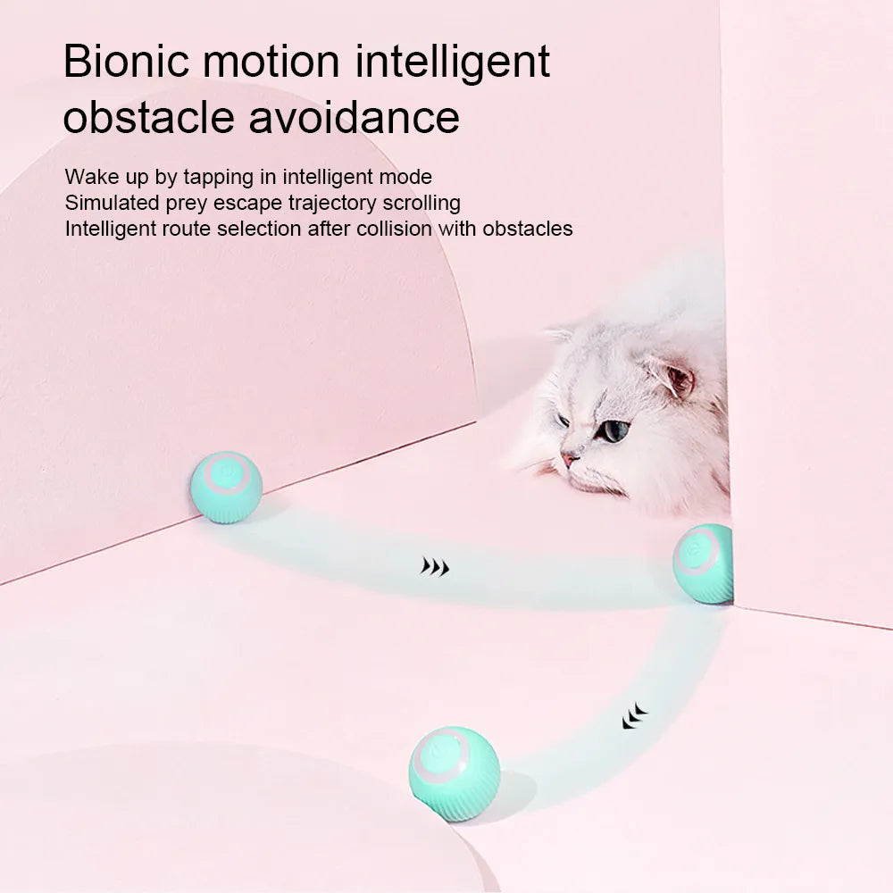 Interactive Cat Toys Ball