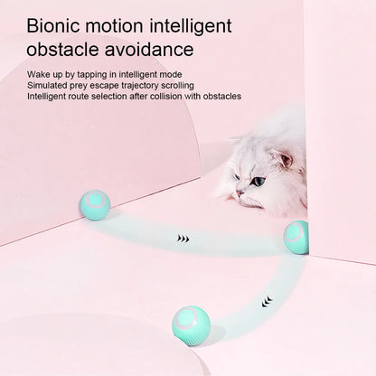Interactive Cat Toys Ball