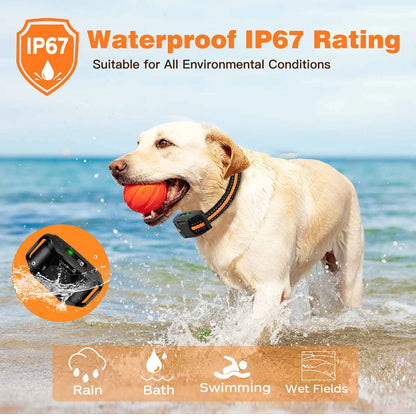 Replacement Accessories for Dog Training Collar for RS2 Model – Collar Only, Remote Required