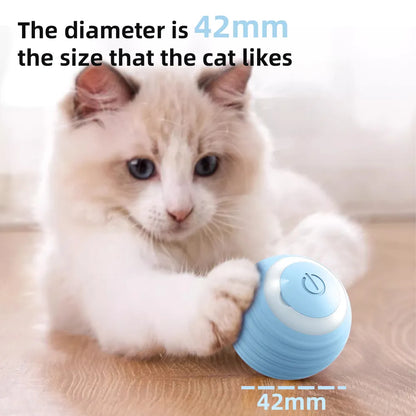 Interactive Smart Pet Toy
