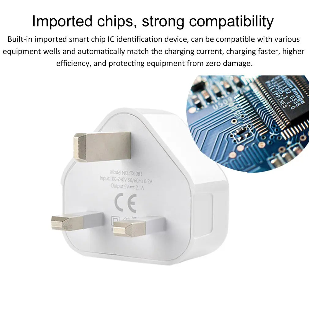UK 3-Pin Plug to Type-B USB Charger for Dog Training Devices