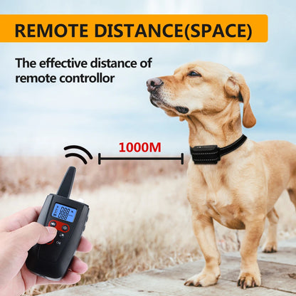 No Shock Dog Training Collar – Safe, Humane, and Effective Training