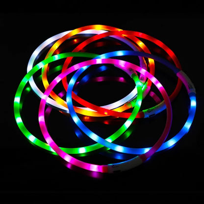 Silicone LED Dog Collar