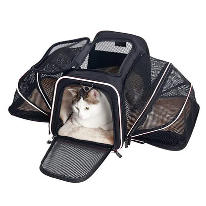 Expandable Pet Carrier Backpack