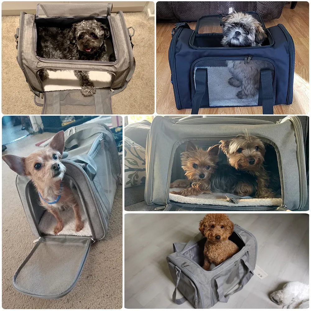 Dog Carrier Backpack: Soft-Sided, Airline Approved Pet Travel Bag for Small Dogs and Cats
