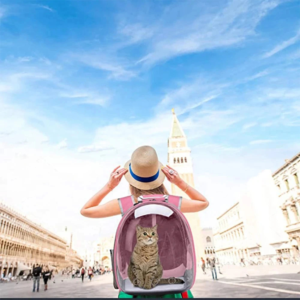 Transparent Capsule Pet Carrier Backpack – Breathable Travel Bag for Cats, Puppies