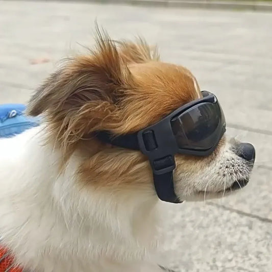 Dog Summer Sunglasses