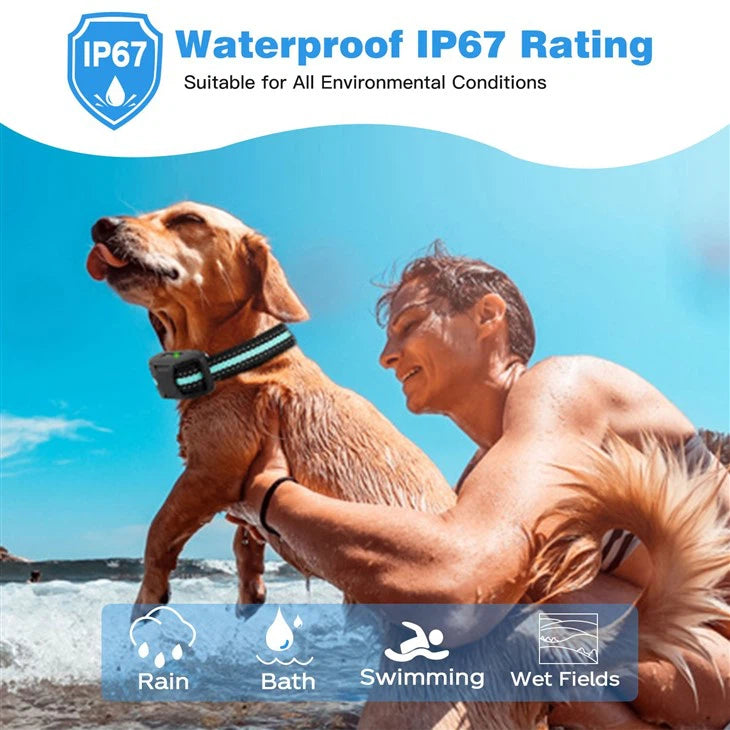 RS1 Remote Dog Training Collar (Up to 1640ft / 500m Range)